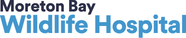 Moreton Bay Wildlife Hospital
