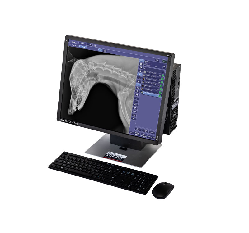 Mobile X-ray Imaging Station